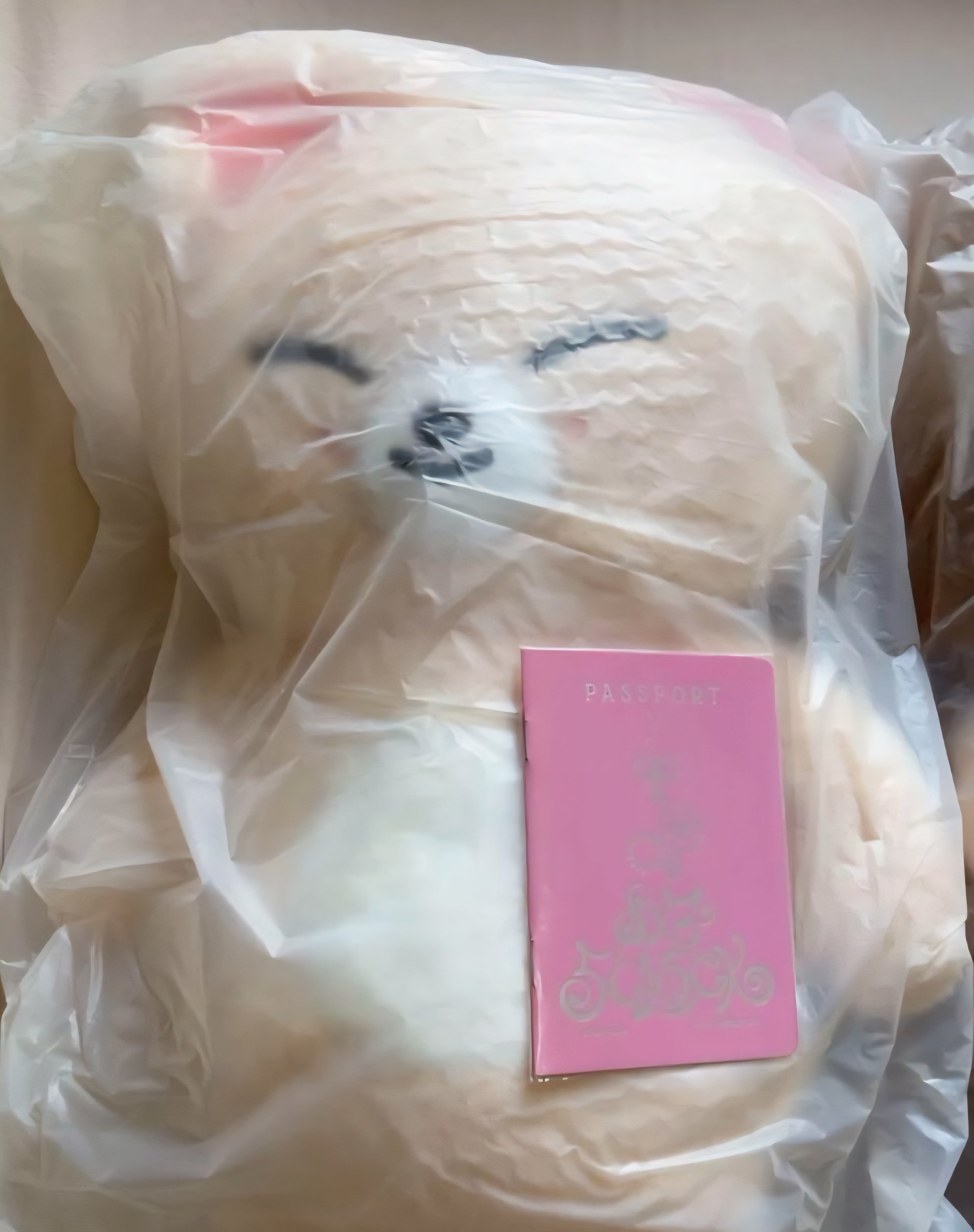 Official 5'clock Teddybear ver skzoo