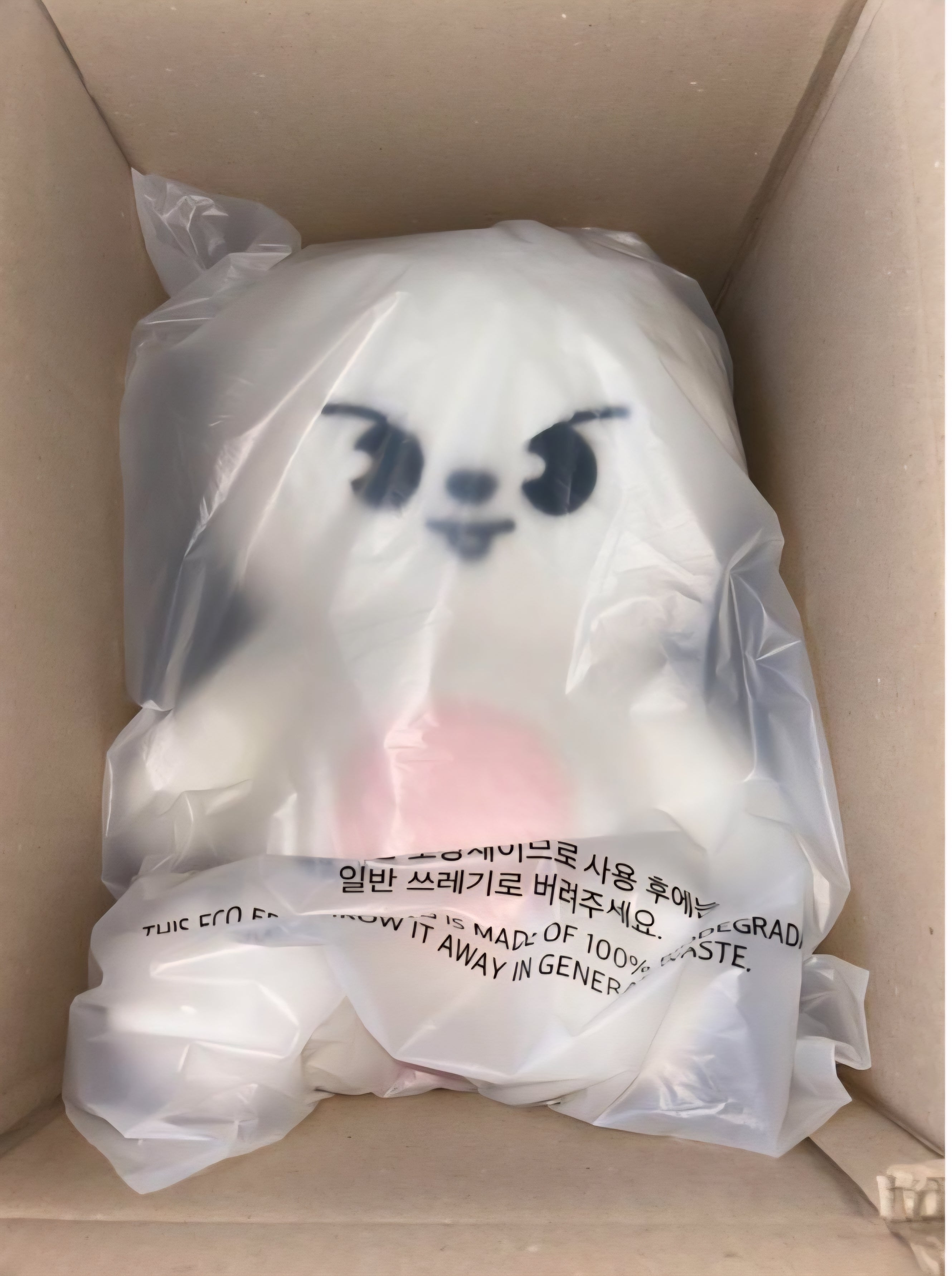 リービット テディベア TEDDYBEAR ぬいぐるみ 5'CLOCK Stray Kids - SKZ 5'Clock - Plush Teddybear - Leebit Ver
