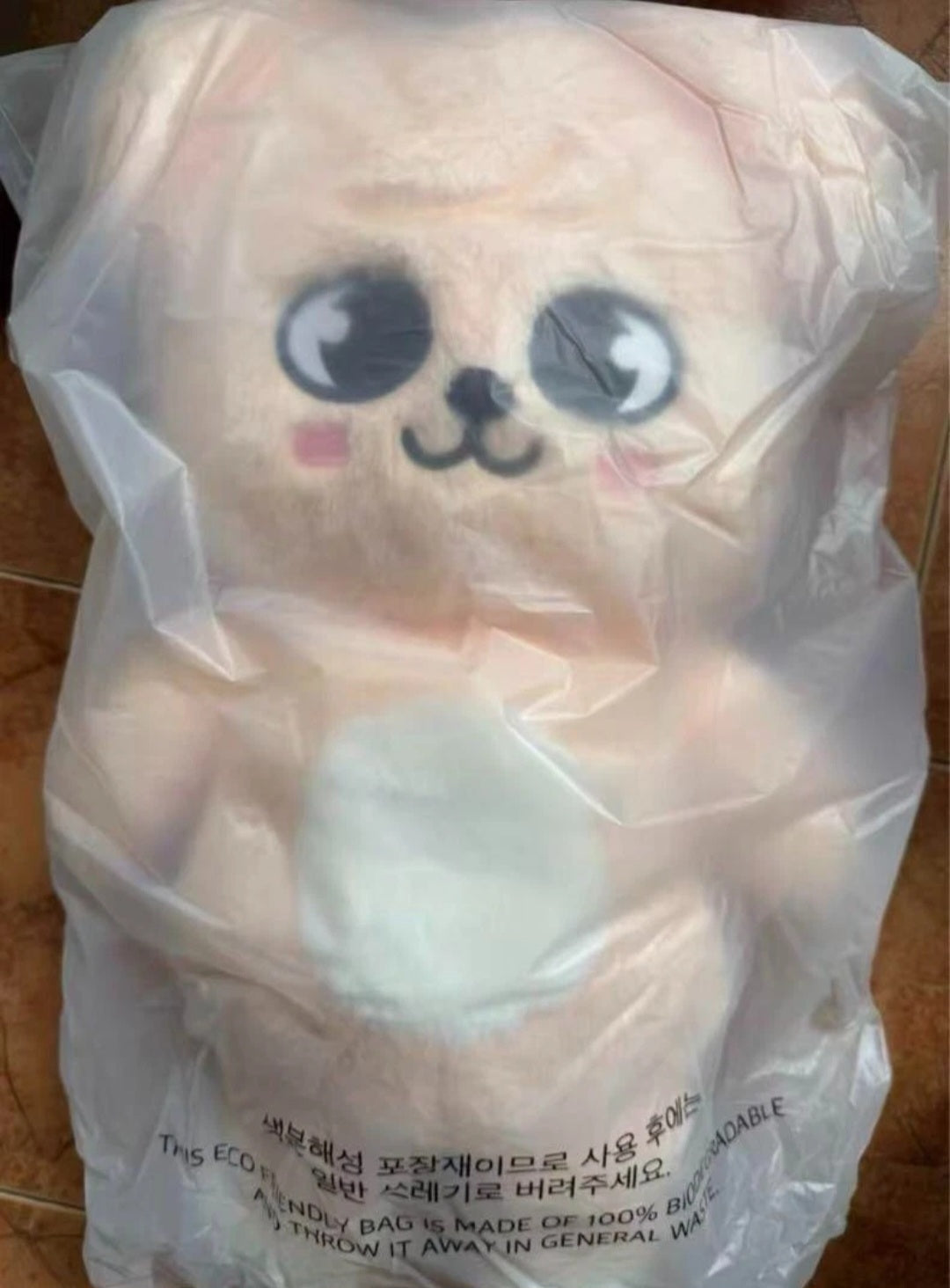 Official 5'clock Teddybear ver skzoo