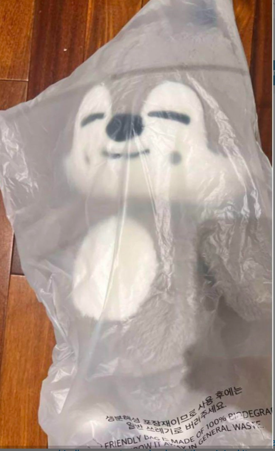Official 5'clock Teddybear ver skzoo