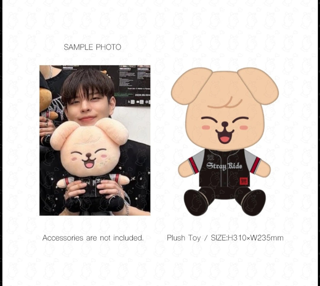 Pre-Order Official Stray kids Dominate Japan tour Skzoo