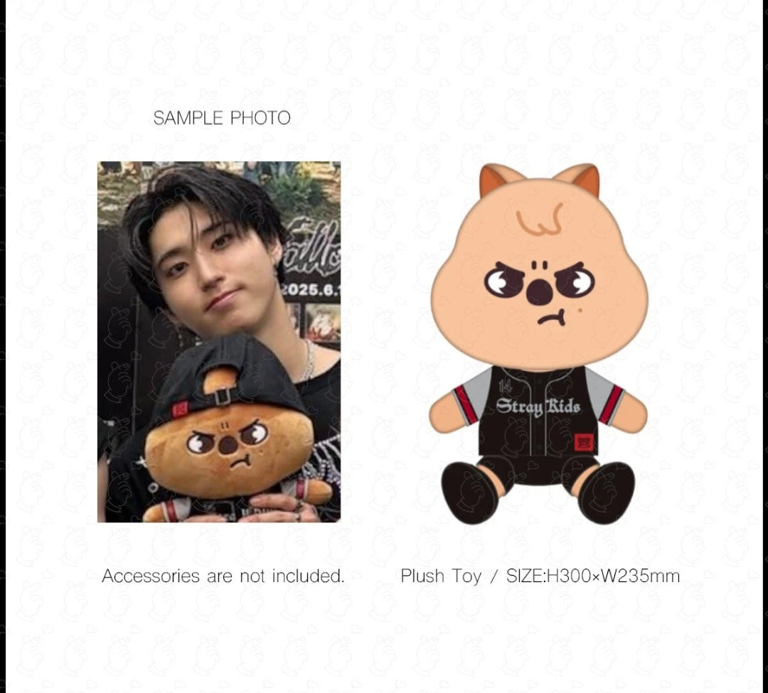 Pre-Order Official Stray kids Dominate Japan tour Skzoo