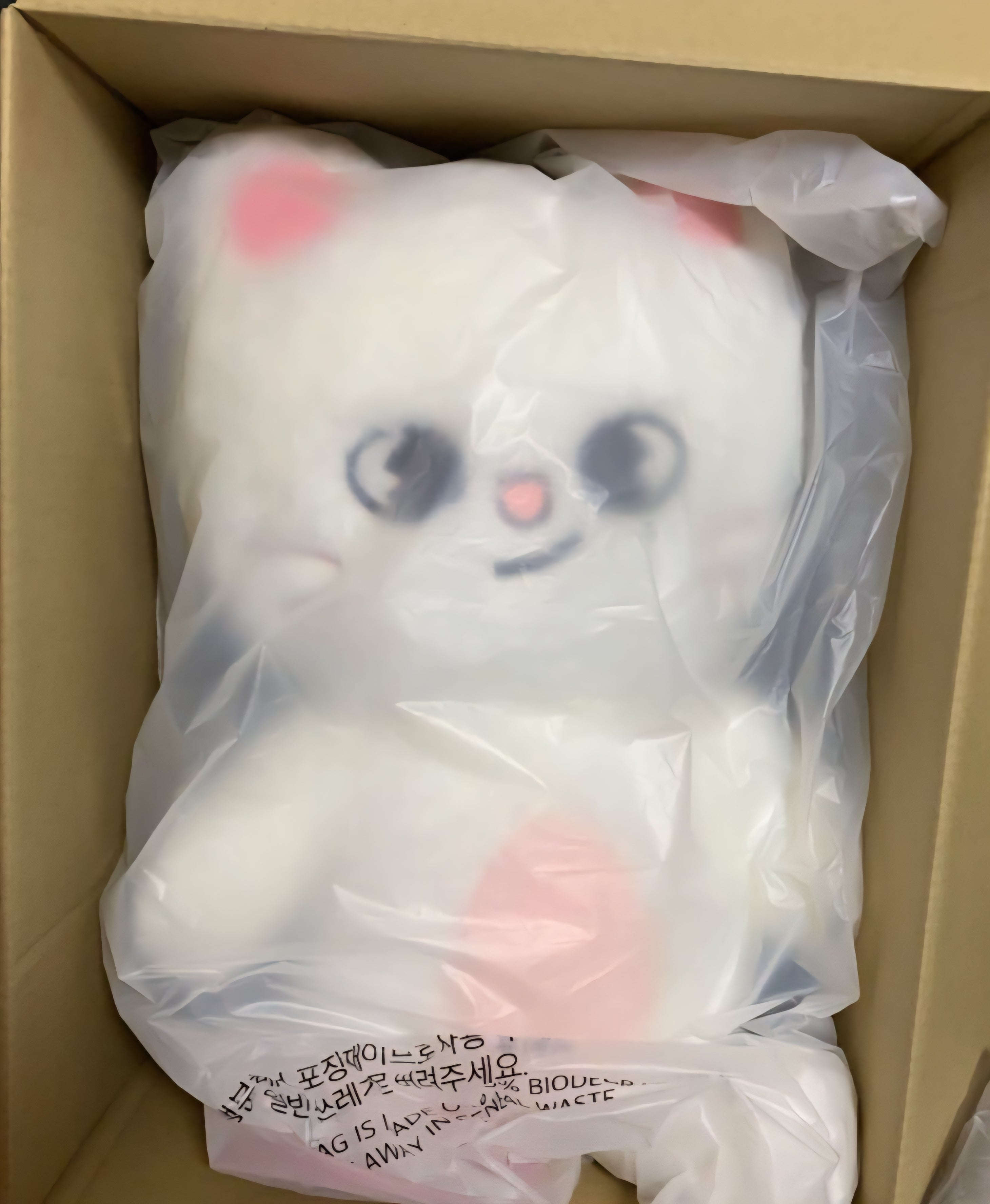 Official Skzoo Teddybear ver Fanmeeting 5'clock(Jiniret