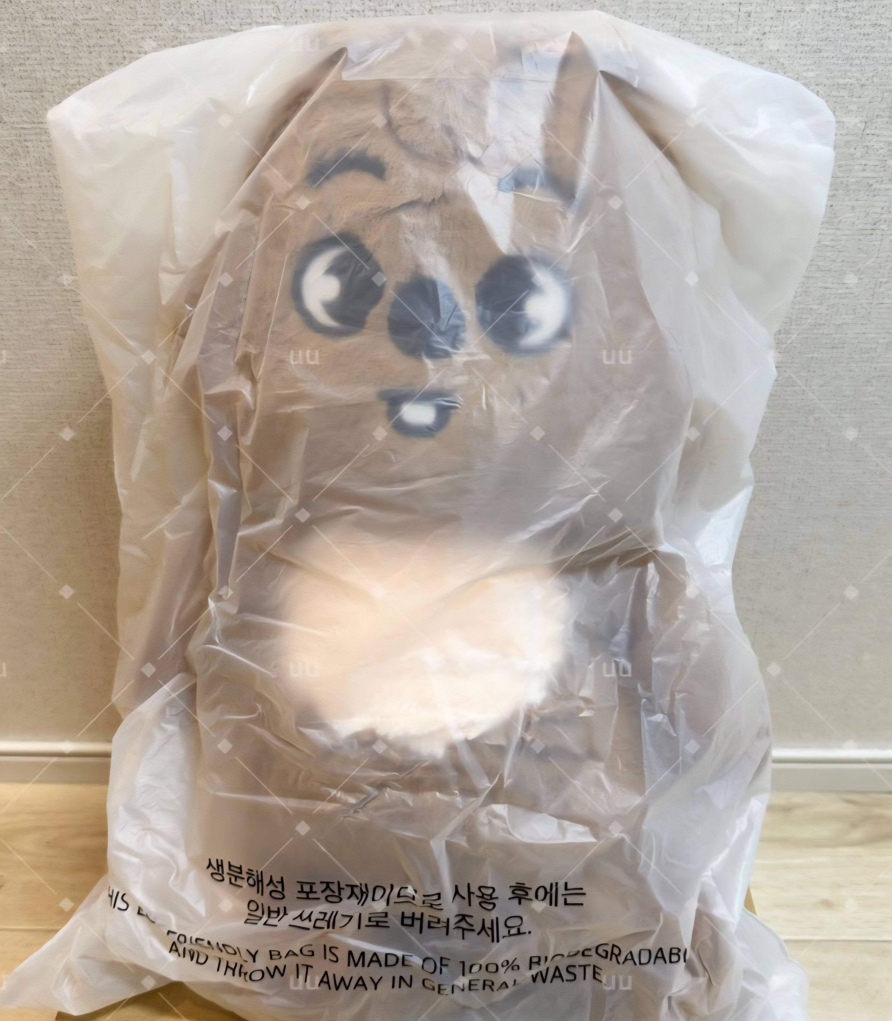 リービット テディベア TEDDYBEAR ぬいぐるみ 5'CLOCK リービット テディベア TEDDYBEAR ぬいぐるみ 5'CLOCK アイドル