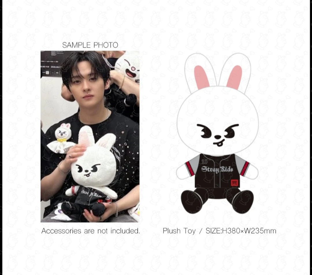 Pre-Order Official Stray kids Dominate Japan tour Skzoo